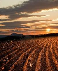 terreno arato AGHD Srl